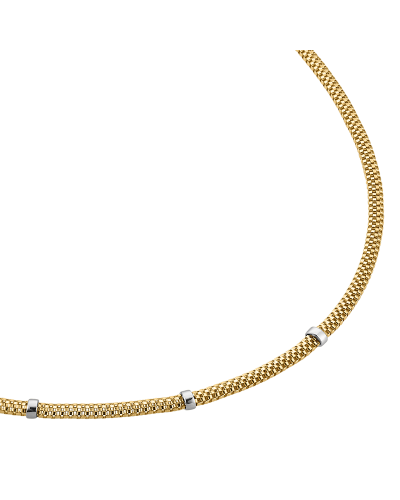 Damencollier